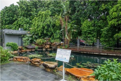 植物醫生透明工廠 智能制造引領國妝自主生產新潮流，生態環境材料銷售成亮點